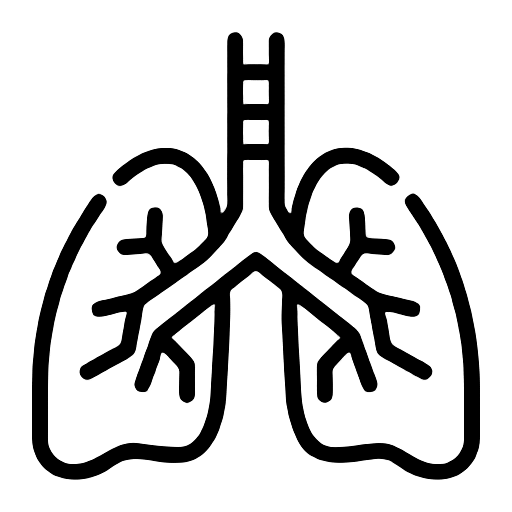 Cardiorespiratory